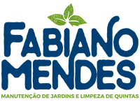 Fabiano Mendes